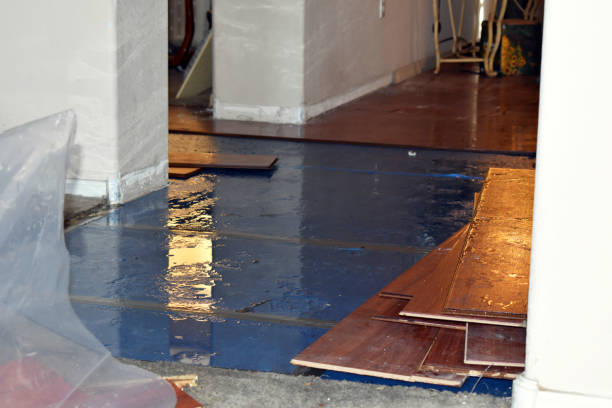 Professional Water Extraction technician working in Mark Center, OH